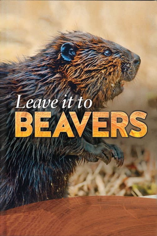Leave it to Beavers (2014) poster