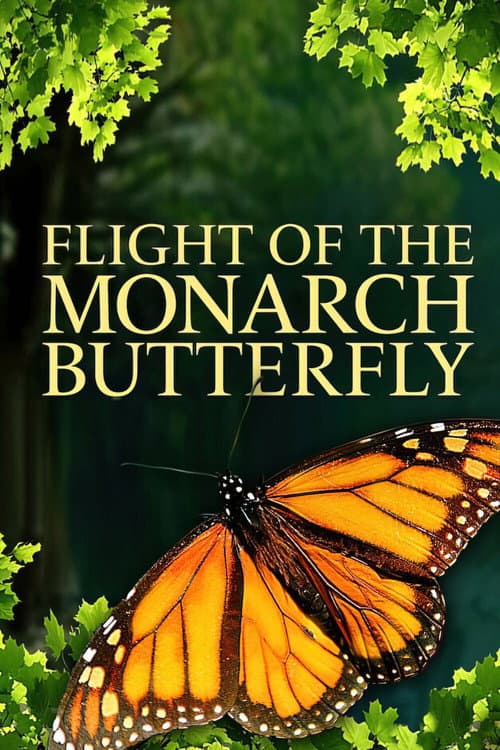 Flight of the Monarch Butterfly (2012) poster