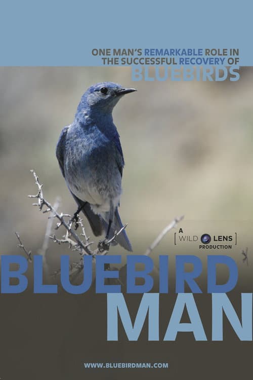 Bluebird Man (2014) poster