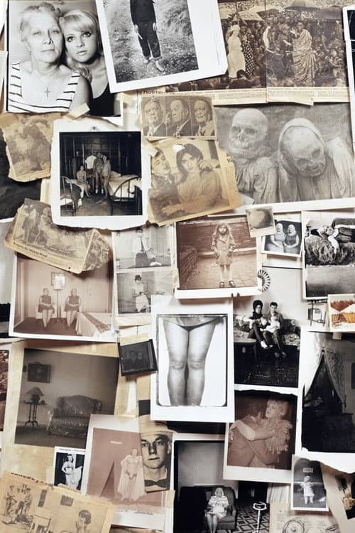 A Slide Show and Talk by Diane Arbus (2005) poster