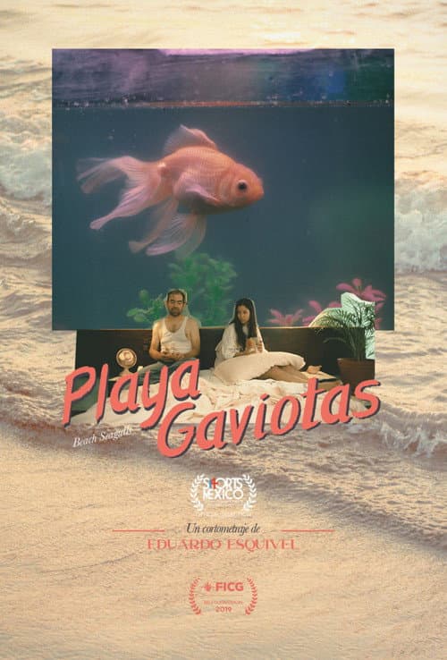 Playa Gaviotas (2019) poster
