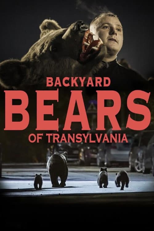 Bärenalarm in Transsilvanien (2023) poster