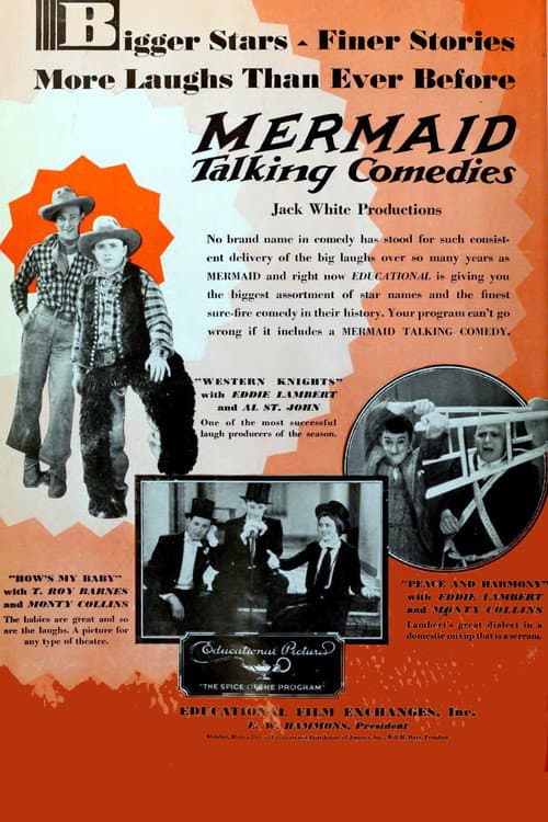 Western Knights (1930) poster