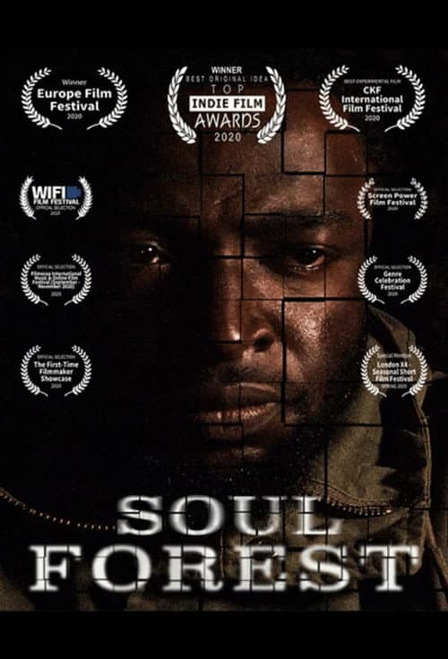 Soul Forest (2020) poster