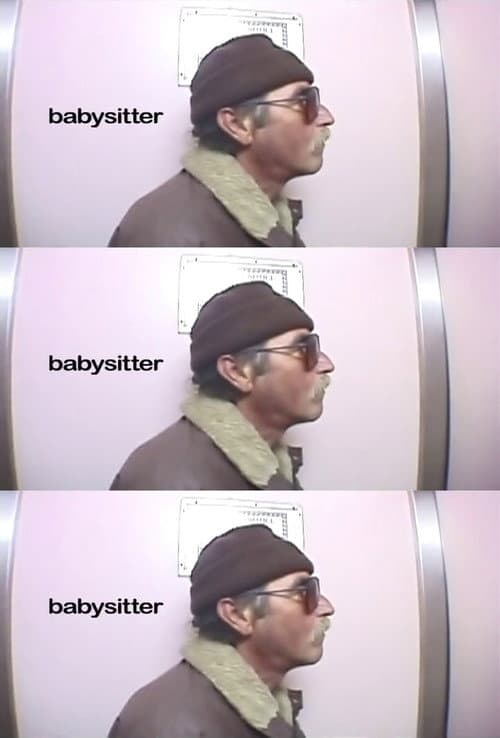 Babysitter (2004) poster