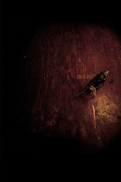 Knife Point (2009) poster
