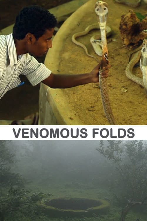 Vishaparvam (2012) poster