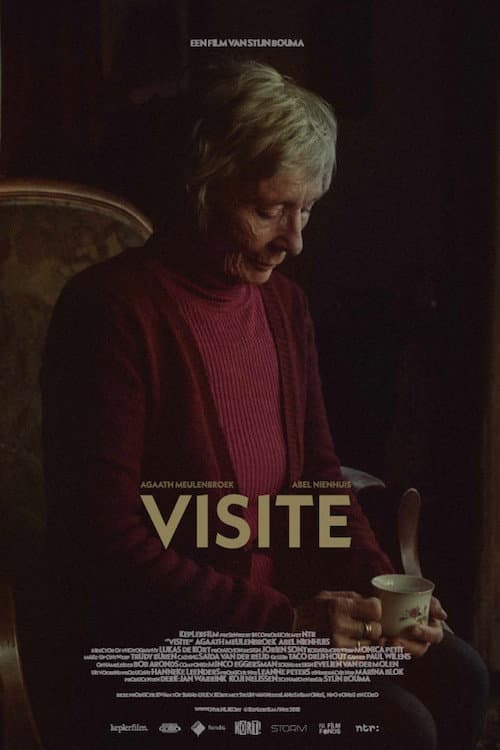 Visite (2018) poster