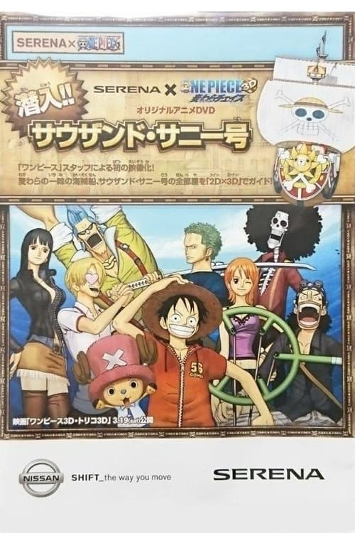 SERENA×ONE PIECE 潜入!!サウザンド・サニー号 (2011) poster