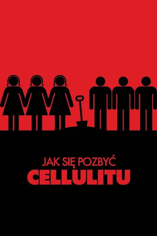 Jak się pozbyć cellulitu (2011) poster