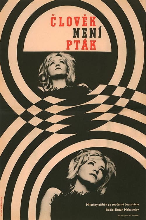 Čovek nije tica (1965) poster