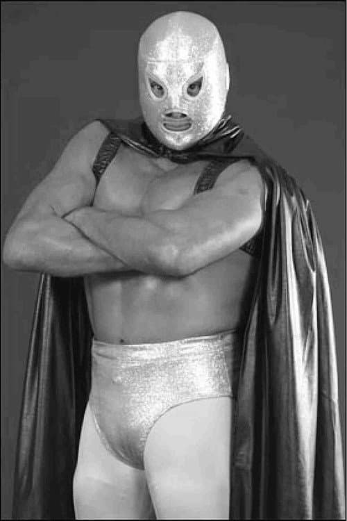 El hijo del Santo (2008) poster
