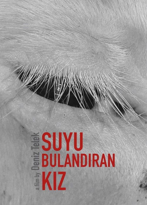 Suyu Bulandıran Kız (2022) poster