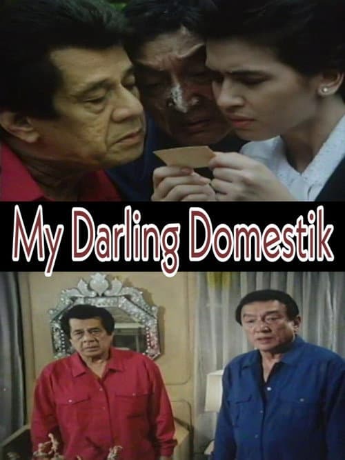 My Darling Domestik (1989) poster