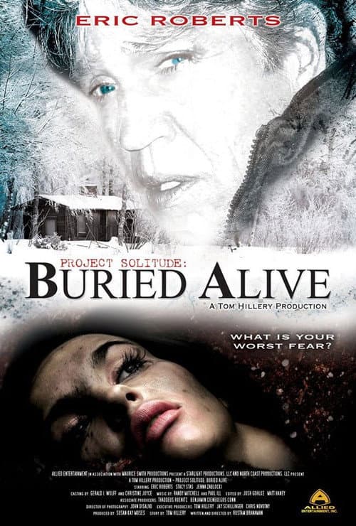 Project Solitude (2009) poster