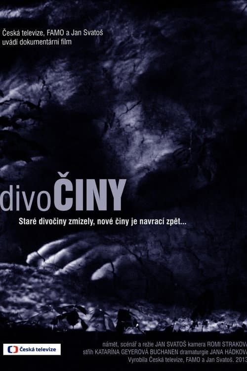 DivoČINY (2013) poster