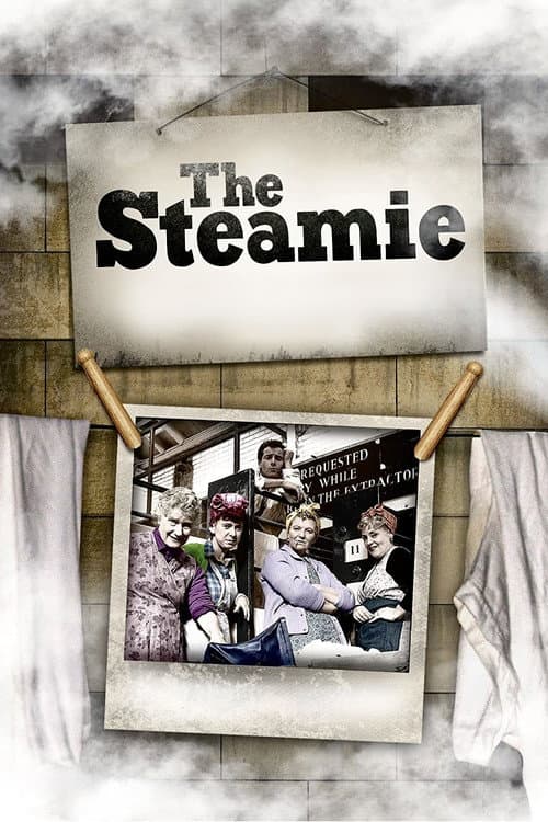 The Steamie (1988) poster