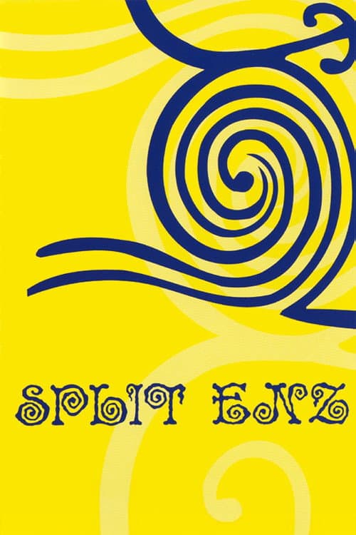 Split Enz (2002) poster