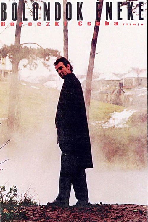 Bolondok éneke (2003) poster