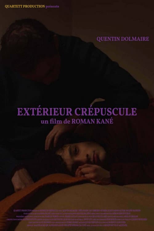 Extérieur crépuscule (2020) poster