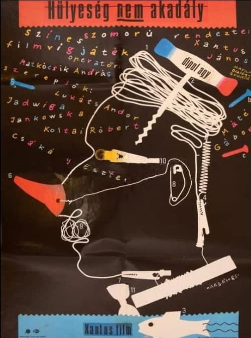 Hülyeség nem akadály (1986) poster