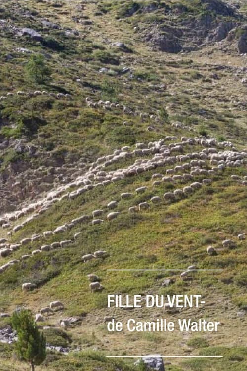 Fille du vent (2020) poster