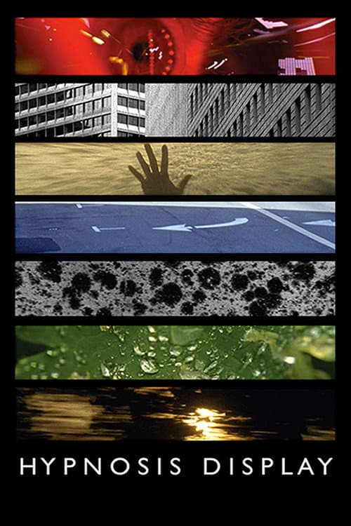 Hypnosis Display (2014) poster