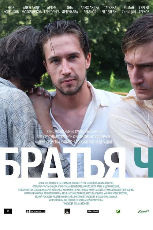 Братья Ч (2014) poster