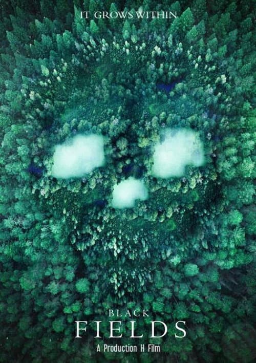 Black Fields (2021) poster