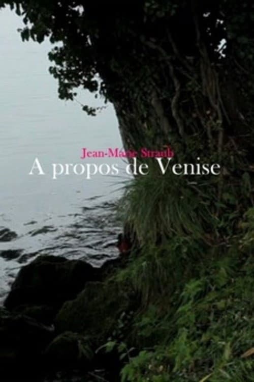 À propos de Venise (2014) poster