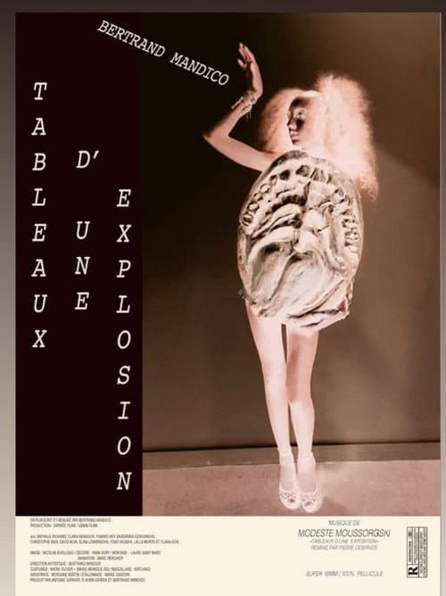 Tableaux d'une explosion (2026) poster