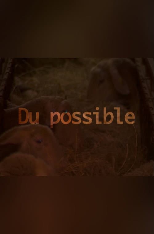 Du possible (2006) poster