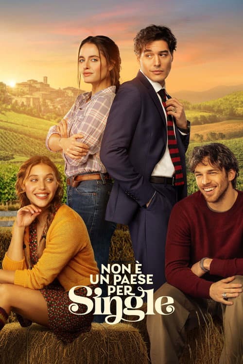 Non è un paese per single (2026) poster