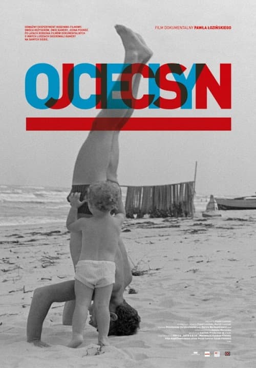 Ojciec i syn (2013) poster