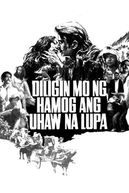 Diligin mo ng Hamog ang Uhaw na Lupa (1975) poster