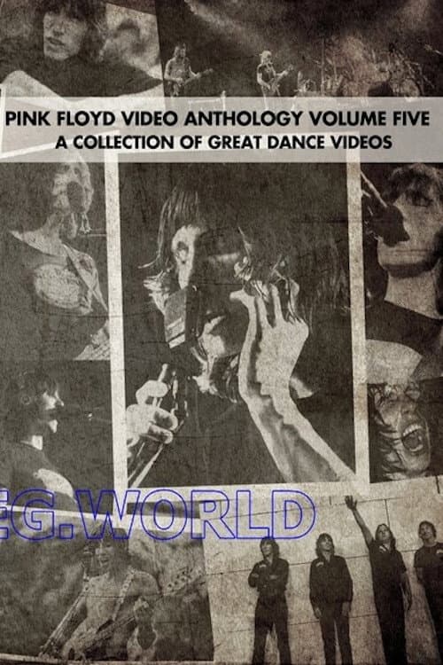 Pink Floyd:  Video Anthology Vol. 5 (2004) poster
