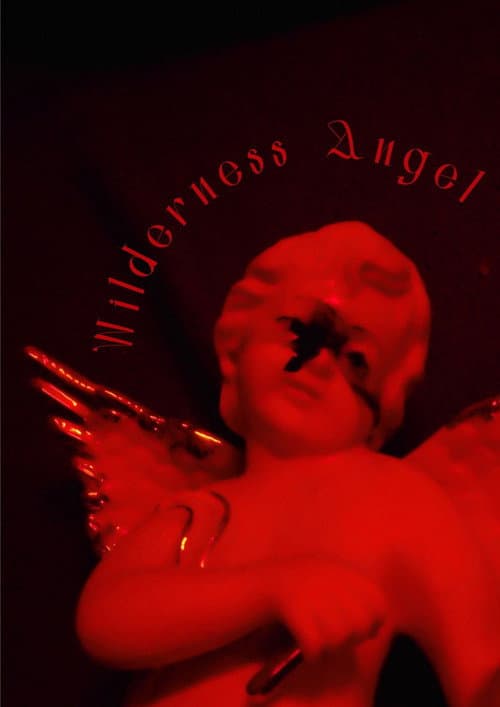 Wilderness Angel (2026) poster