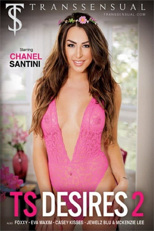 TS Desires 2 (2025) poster