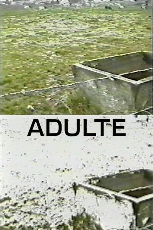 Adulte (1998) poster