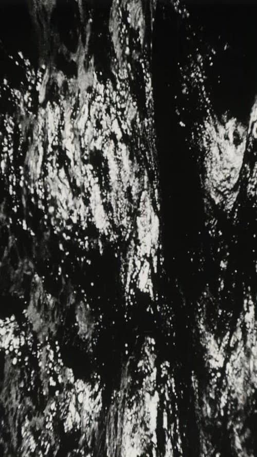 Bitemporal Vision: The Sea (1994) poster