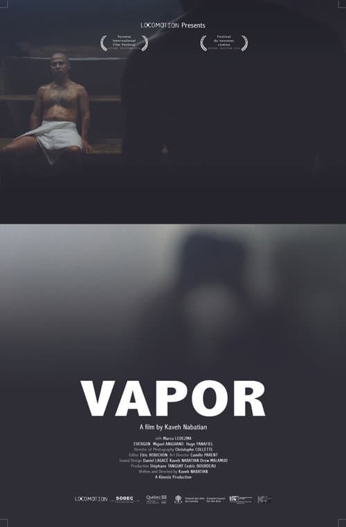 Vapor (2010) poster