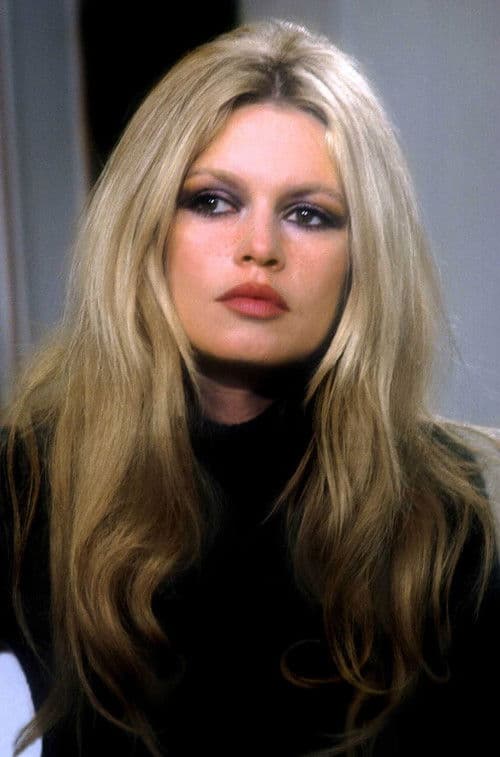 Brigitte Bardot: The Icon of France (2009) poster