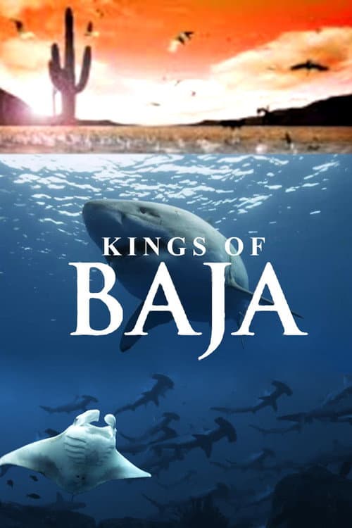 Kings of Baja (2014) poster