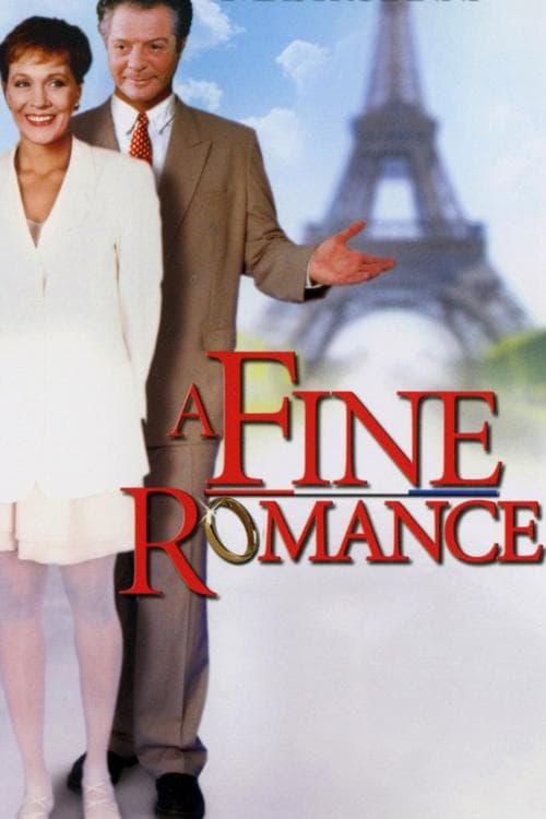 Cin cin (1991) poster
