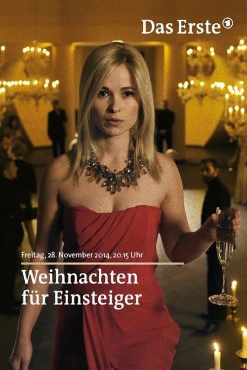 Weihnachten für Einsteiger (2014) poster