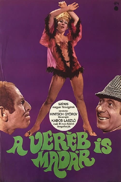 A veréb is madár (1968) poster