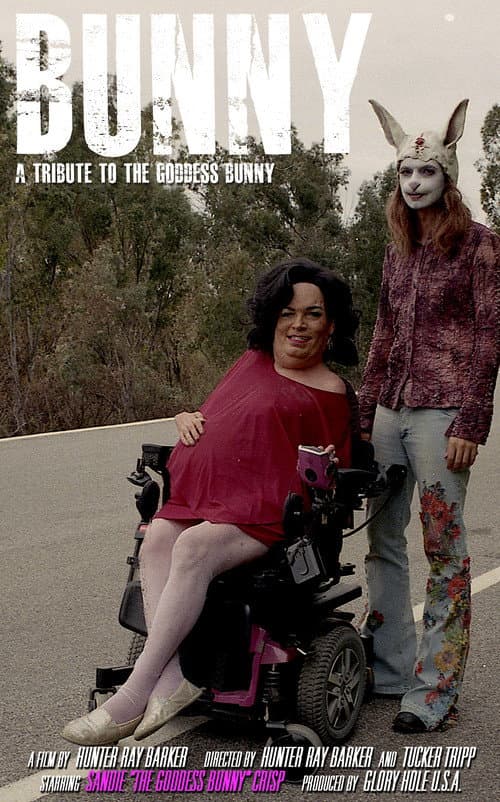 Bunny (2019) poster