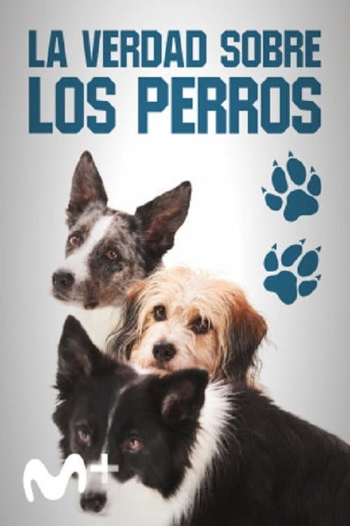 Dog Tales (2020) poster