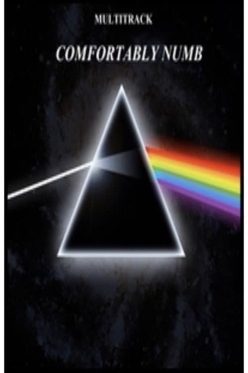 Pink Floyd - Comfortably Numb (2005) poster