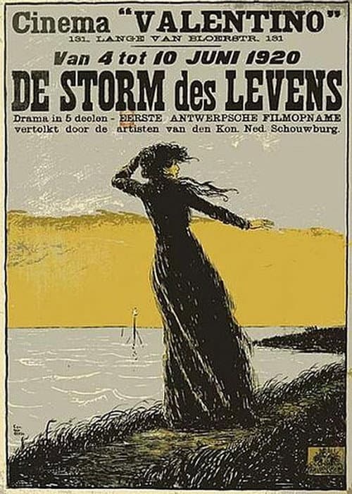 De Storm des Levens (1920) poster